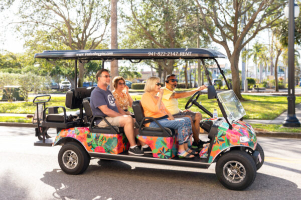 Product image for History Golf Cart Tour