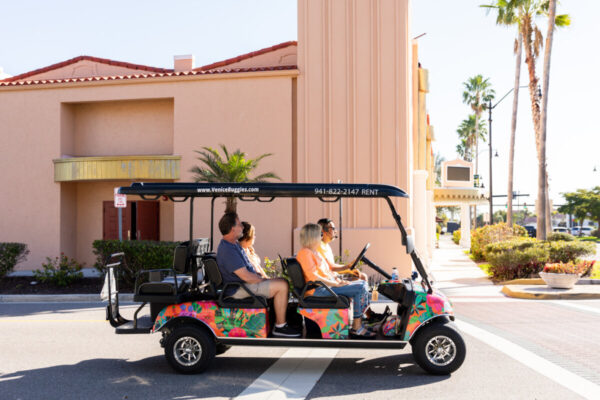 Product image for History Golf Cart Tour