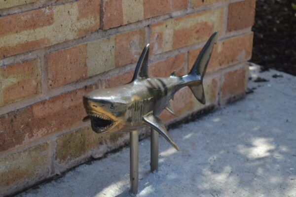 Product image for Venice Shark Spotting