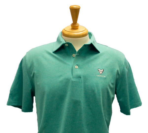 Product image for Venice Teal Southern Tide Polo