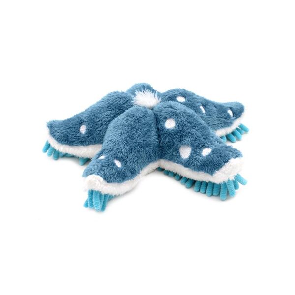 Product image for Sea Star w/Blue Feet