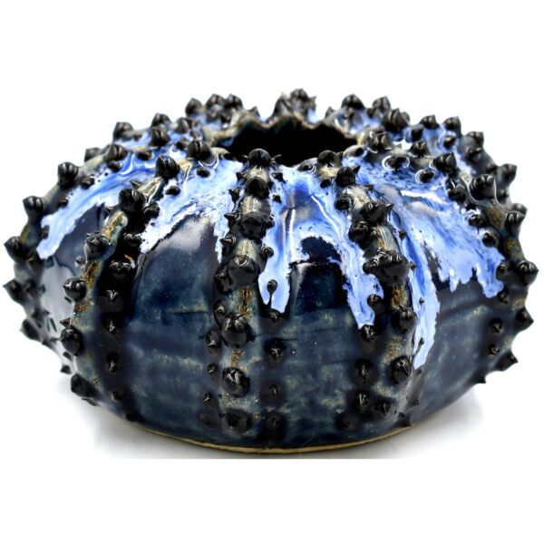 Product image for SRI Collection/Sea Urchin