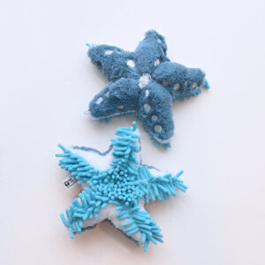 Product image for Sea Star w/Blue Feet