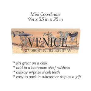 Product image for Coordinates Venice MINI