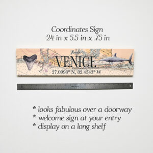 Product image for Coordinates Venice