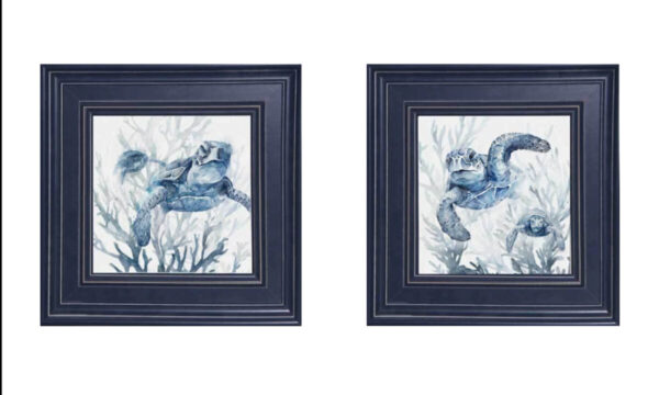 Product image for Turtle Triumph