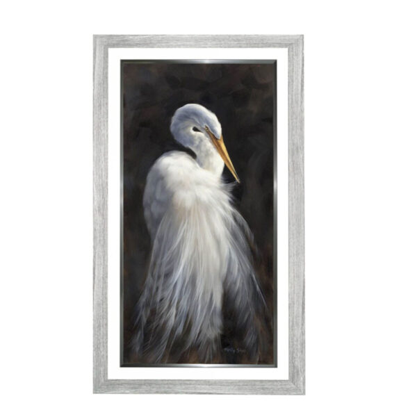 Product image for Glorious Feathers